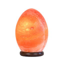 Egg Himalayan Pink Salt Lamp Carved Rock Crystal Light Bulb