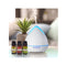 Essential Oils Ultrasonic Aromatherapy Diffuser Air Humidifier 400Ml