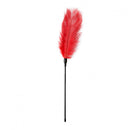 Fetish Collection Feather Tickler Red