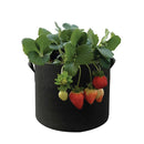6 Pack 10 Gallon Fabric Flower Pots 38L Garden