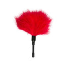Fetish Tickler Small