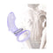 Finger Vibrator Vagina Clitoris Stimulator Massager Adult Sex Toys
