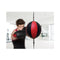 Floor to Ceiling Ball Boxing Punching Bag