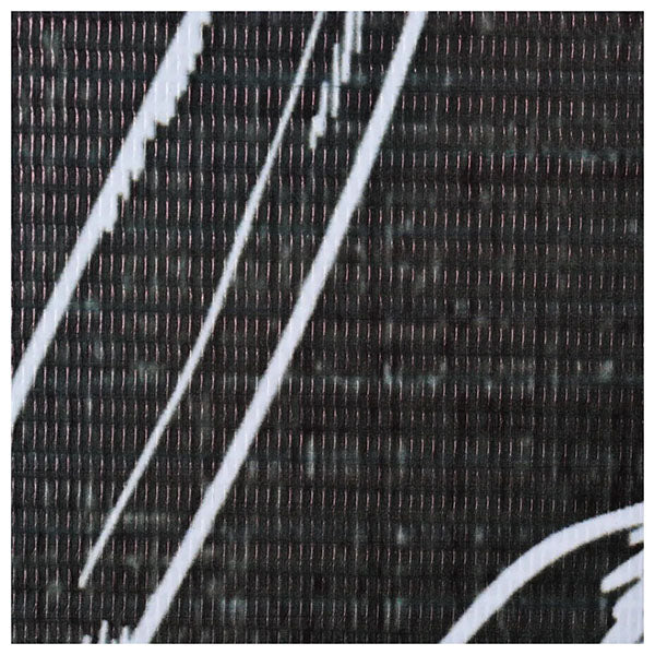Folding Room Divider 228x170cm Black and White Feathers