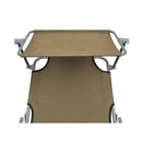 Folding Sun Lounger With Canopy Steel