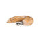 Fox Tail 1 Slender Neck Plug