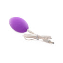 Frisky Naughty Knickers Silicone Remote Panty Vibes