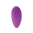 Frisky Naughty Knickers Silicone Remote Panty Vibes