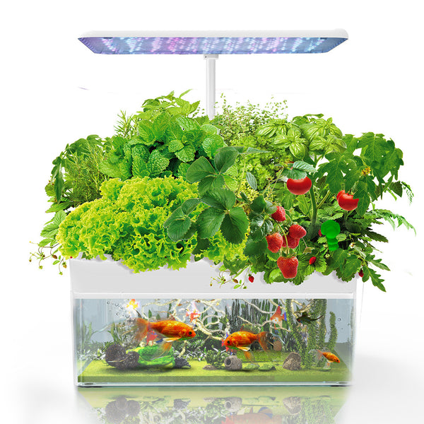 12 Pod Indoor Hydroponic Growing System with Fish Tank