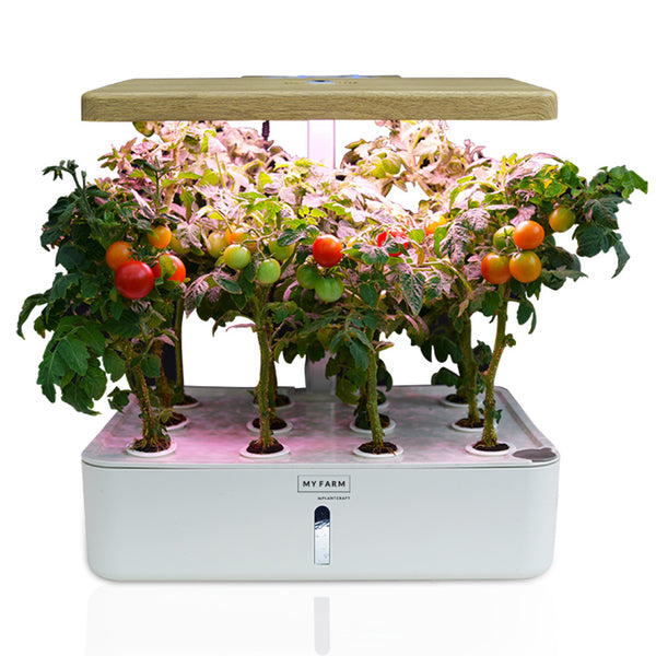 12 Pod Indoor Hydroponic Growing System, with Water Level Window & Pump, White