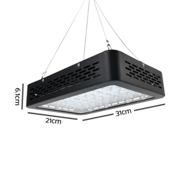 600W LED Grow Light Full Spectrum