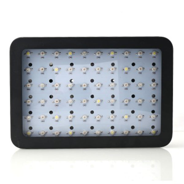 600W LED Grow Light Full Spectrum