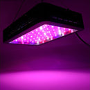 600W LED Grow Light Full Spectrum