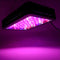 600W LED Grow Light Full Spectrum