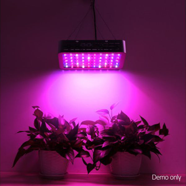 600W LED Grow Light Full Spectrum