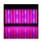 LED Grow Light Full Spectrum