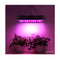 LED Grow Light Full Spectrum