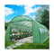 Green House Plant Storage 6mX3m