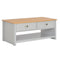 Grey Coffee Table with 2 Drawers 100x50x42cm
