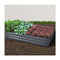 Galvanized Steel Raised Garden Bed 210 x 90 Aluminum