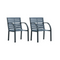 Garden Chairs Grey Wood 2 Pcs
