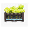 2Pcs 200X23Cm Garden Bed Plastic Planter Box