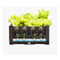 200X36Cm Garden Plastic Planter Box