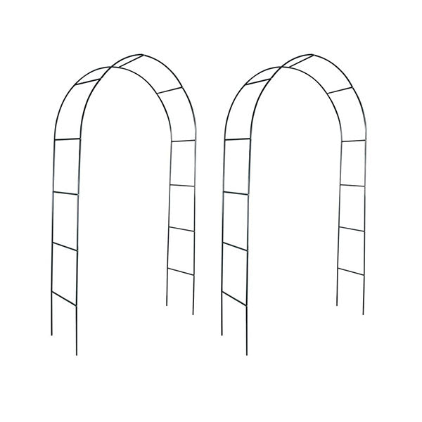 Garden Arch 2 Pcs Climbing Plants