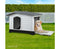 Grey Dog Kennel