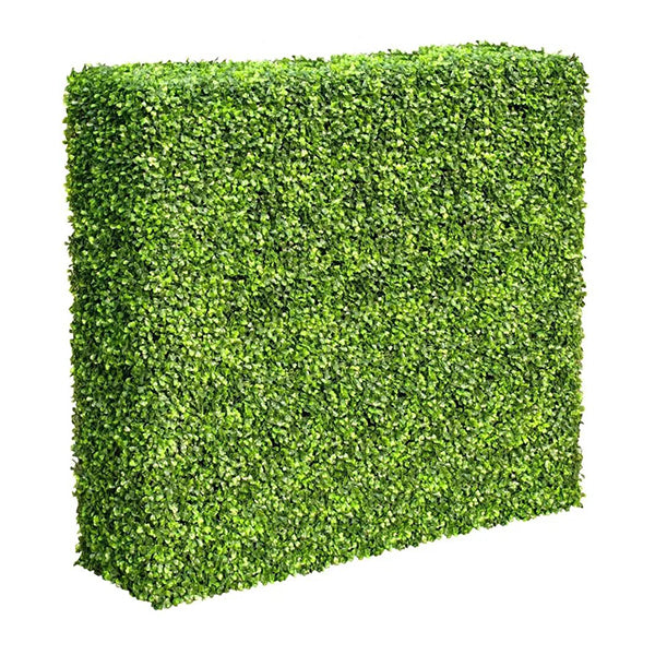 Large Portable Mixed Boxwood Hedge Uv Resistant