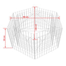 Hexagonal Gabion Planter 100 x 90 x 50 Cm