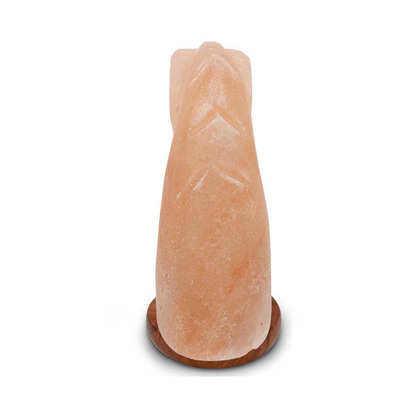 Horse Himalayan Pink Salt Lamp Carved Knight Rock Crystal Light Bulb