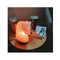 Horse Himalayan Pink Salt Lamp Carved Knight Rock Crystal Light Bulb