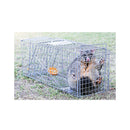 Humane Possum Cage Live Animal Safe Trap