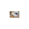 Huntkey 6 Outlet Surge Protector With 2 Usb Charging Outlets