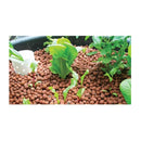 Hydro Organic Clay Balls Premium Hydroponic