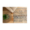 Intimate Soft Design Blue Beige Rug
