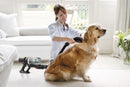 Kogan Z11 Cordless Stick Vacuum Cleaner Pet Grooming Tool