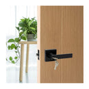Key Lock Function Black Square Door Handle Set