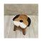 Kids Wooden Dog Stool