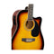12 String Acoustic Guitar With Eq