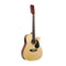 12 String Acoustic Guitar With Eq