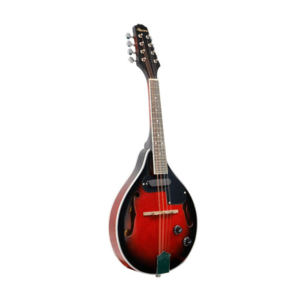 8 String Electric Mandolin