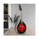 8 String Electric Mandolin