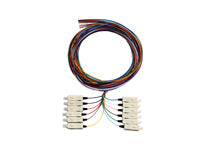 Serveredge Sc Pigtail Om4 2M 12 Fibres 12 Colour