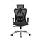 Sihoo M57 Ergonomic Office Desk High Back Chair Breathable No Footrest