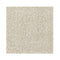 Machine Knotted Sierra Beige Rug