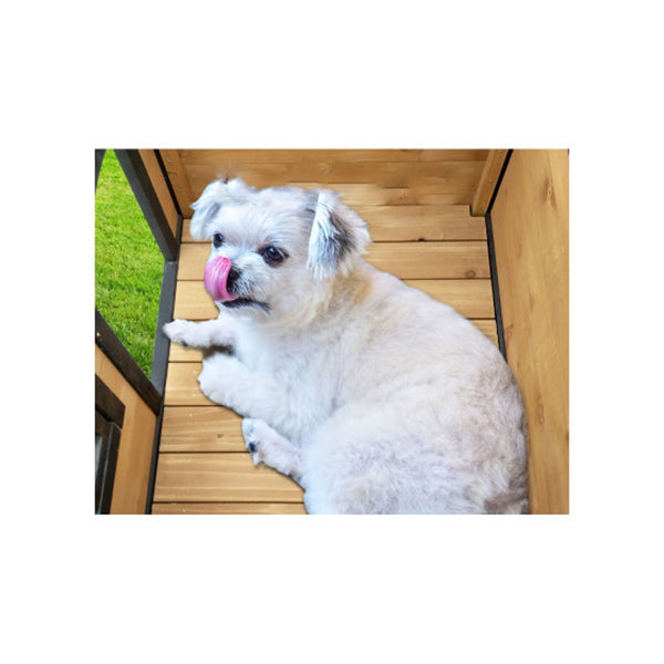 Large Wooden Pet Kennel