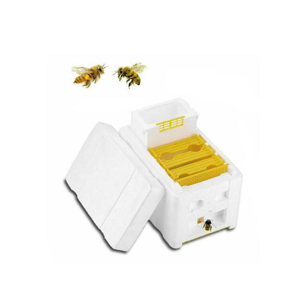 Mini Mating Box Queen Bee Rearing Plastic