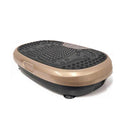 Mini Vibration Platform Magnet Therapy